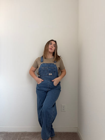 Denim Straight Leg Overalls (M)