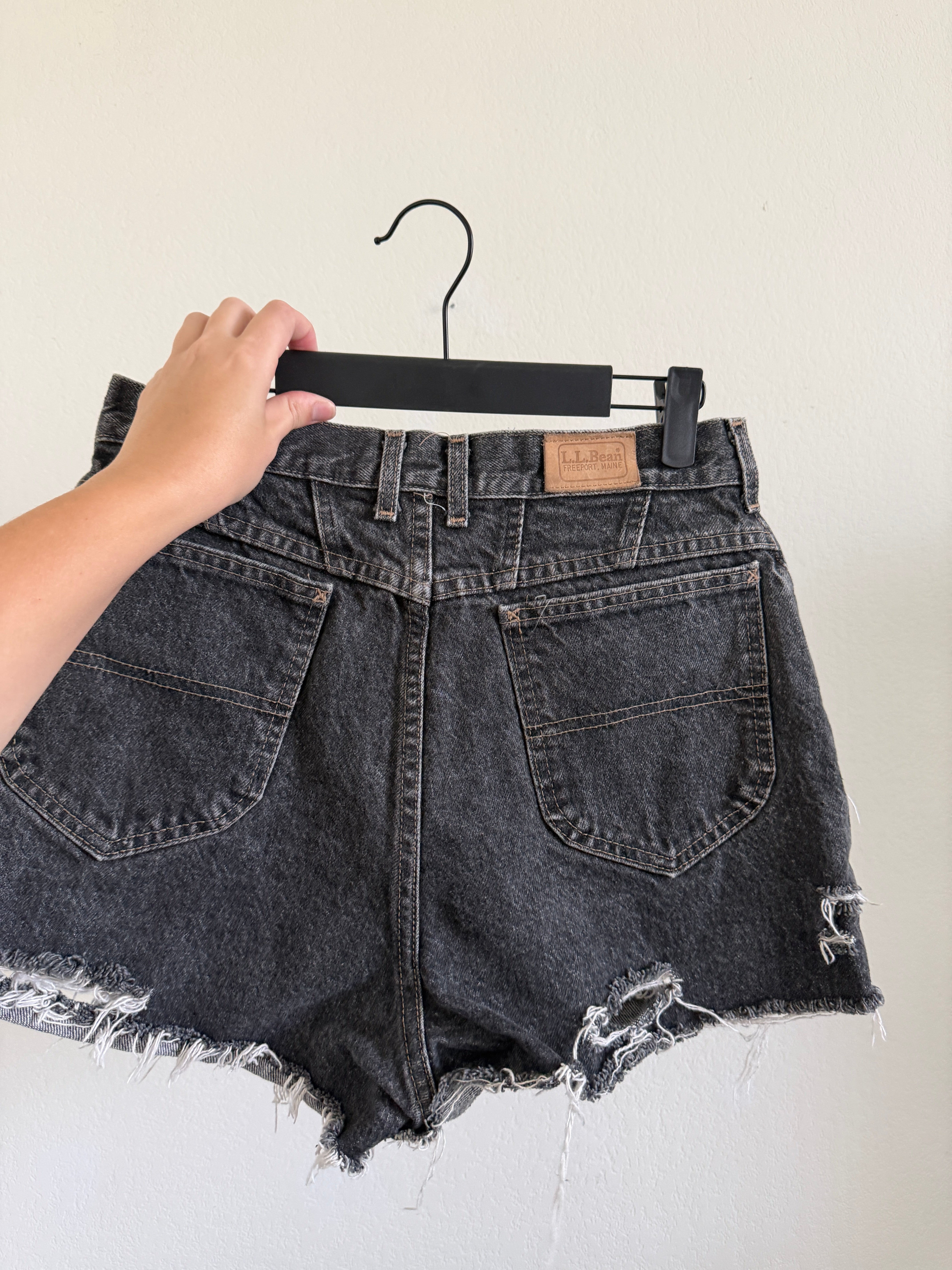 Black LL Bean Shorts (28