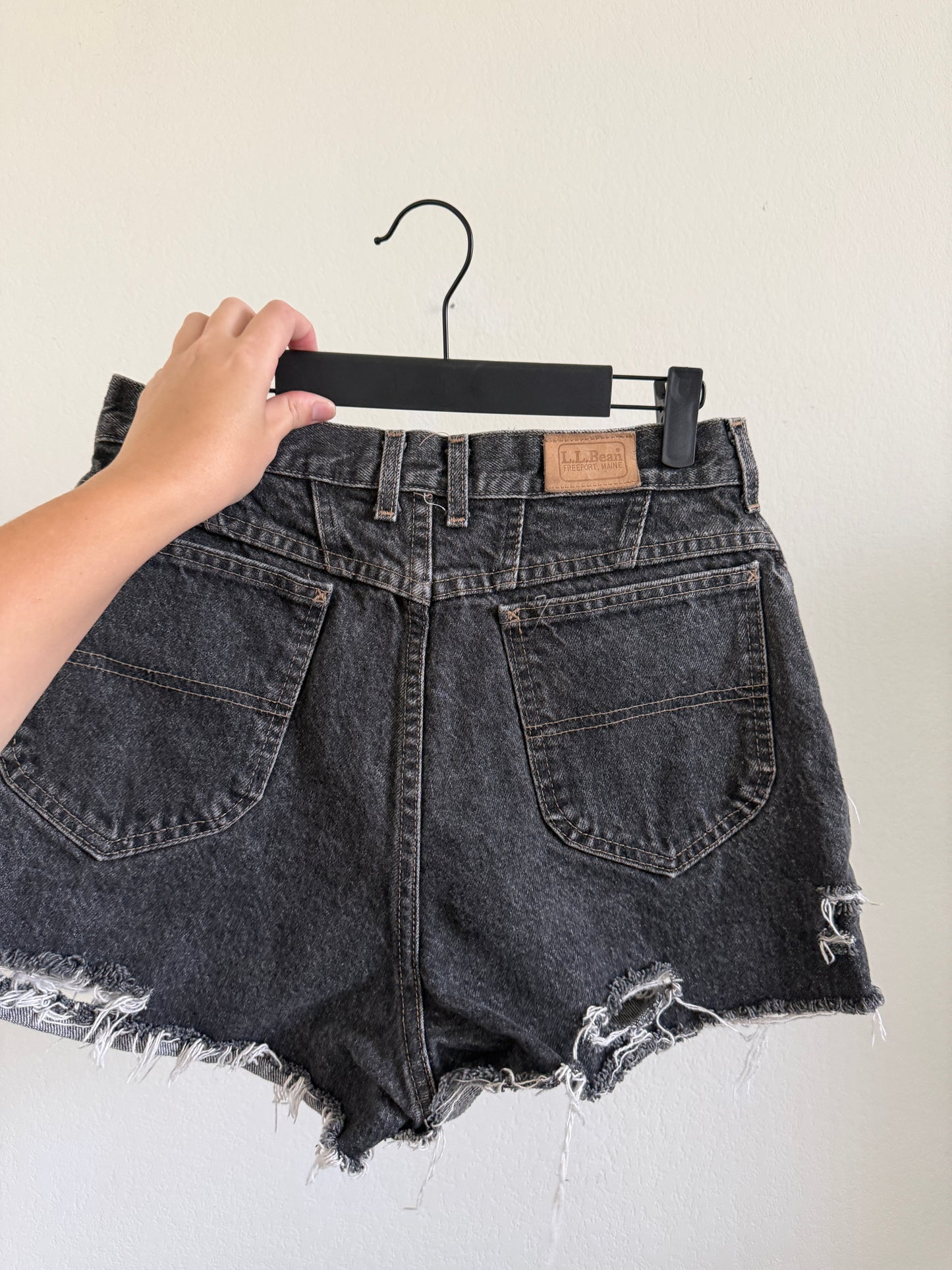 Black LL Bean Shorts (28"W)