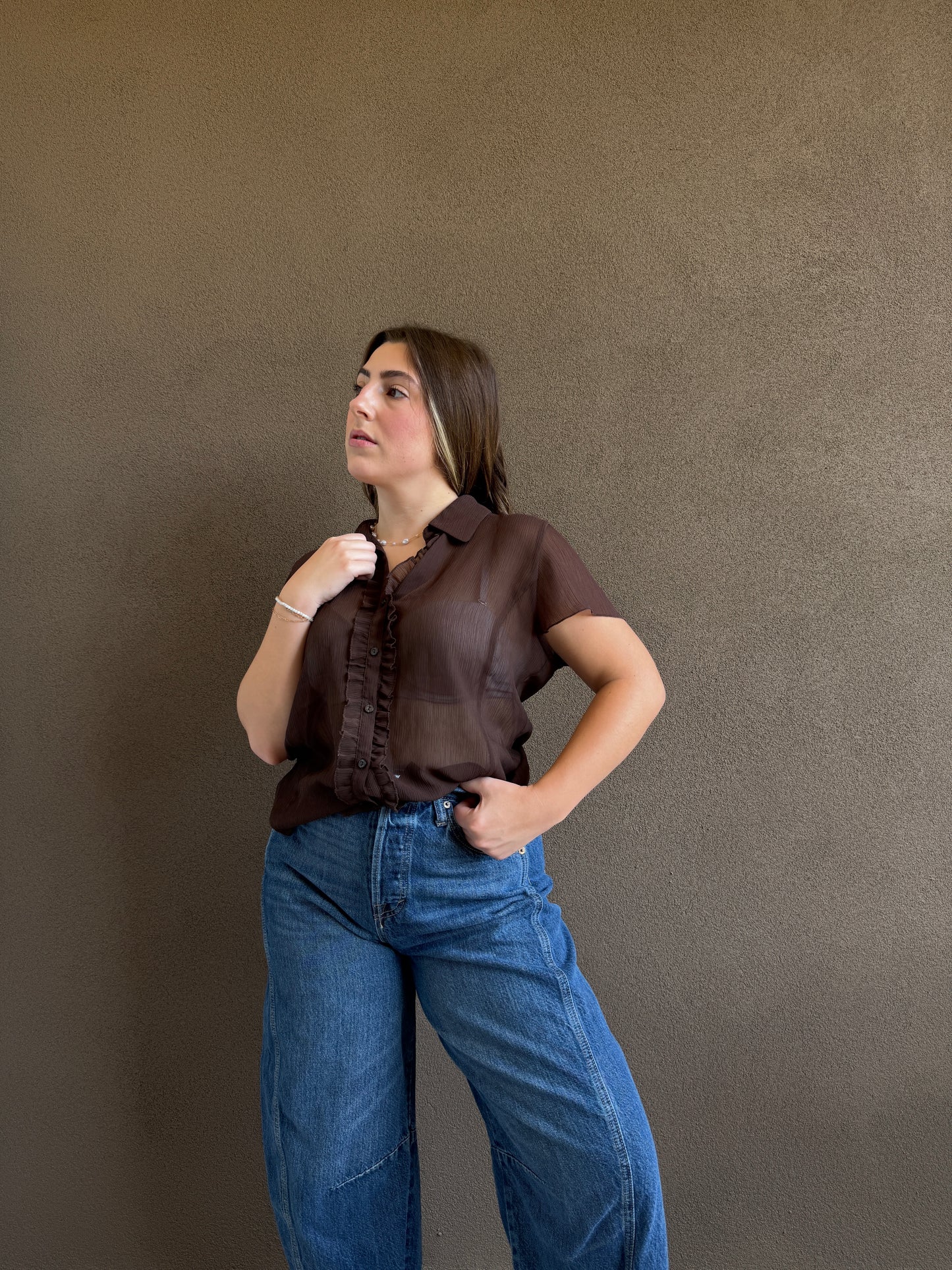 Vintage Brown Sheer Top (14)
