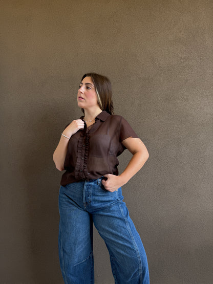 Vintage Brown Sheer Top (14)