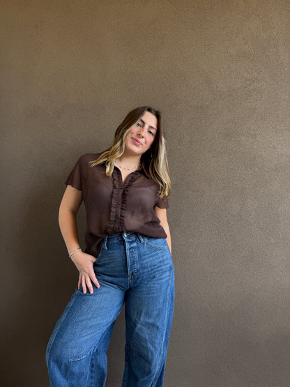 Vintage Brown Sheer Top (14)