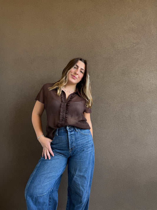 Vintage Brown Sheer Top (14)