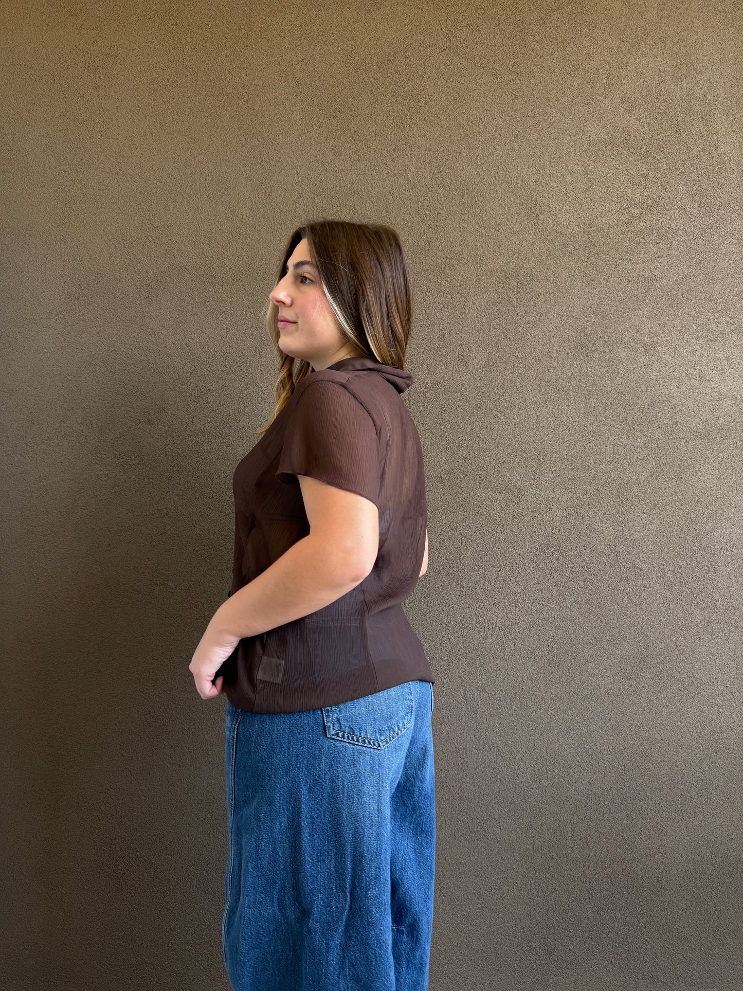 Vintage Brown Sheer Top (14)