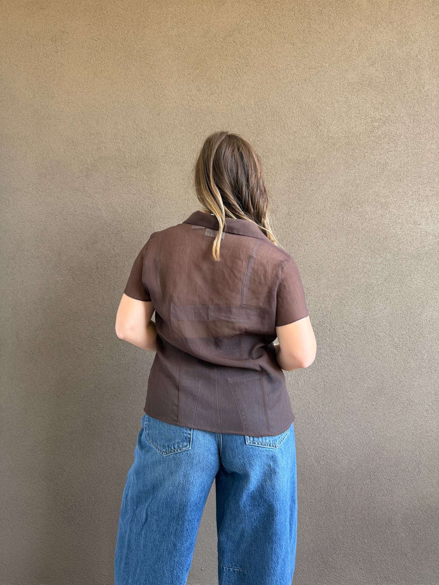 Vintage Brown Sheer Top (14)