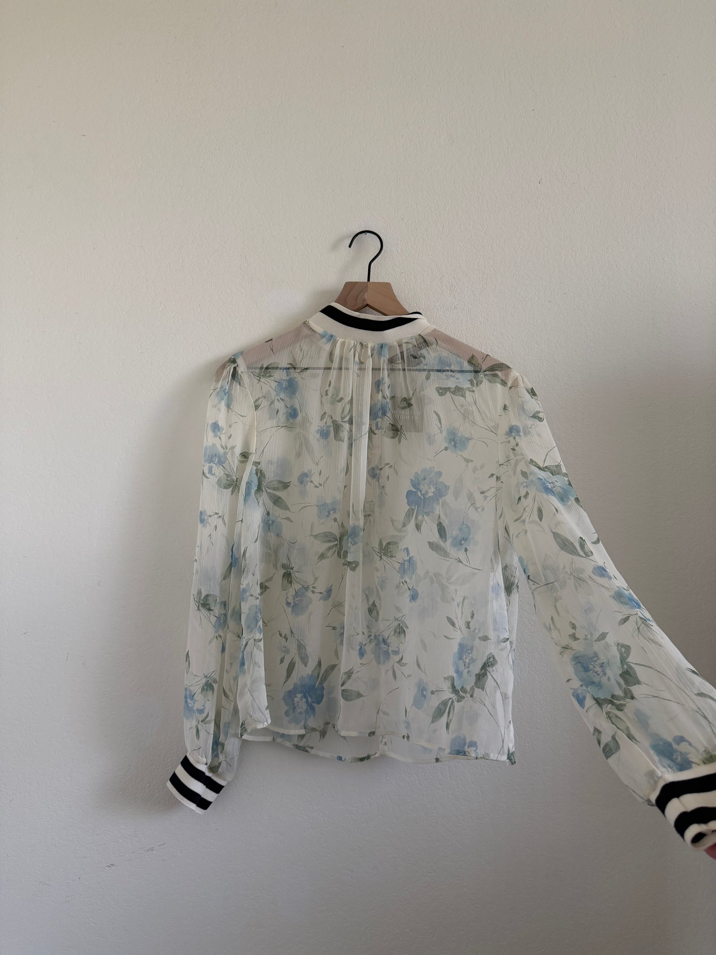 Sheer Long Sleeve Blouse (S)