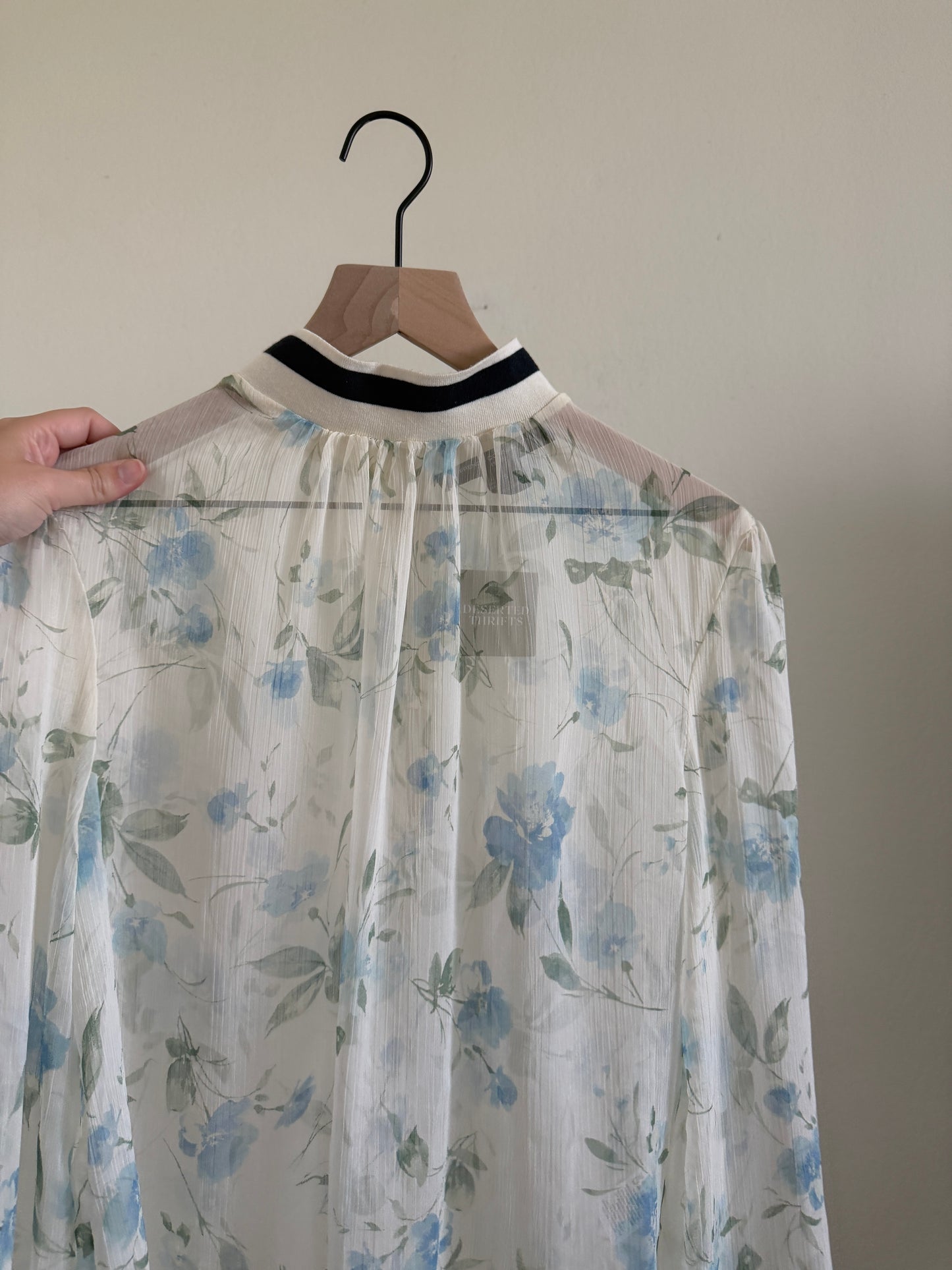 Sheer Long Sleeve Blouse (S)