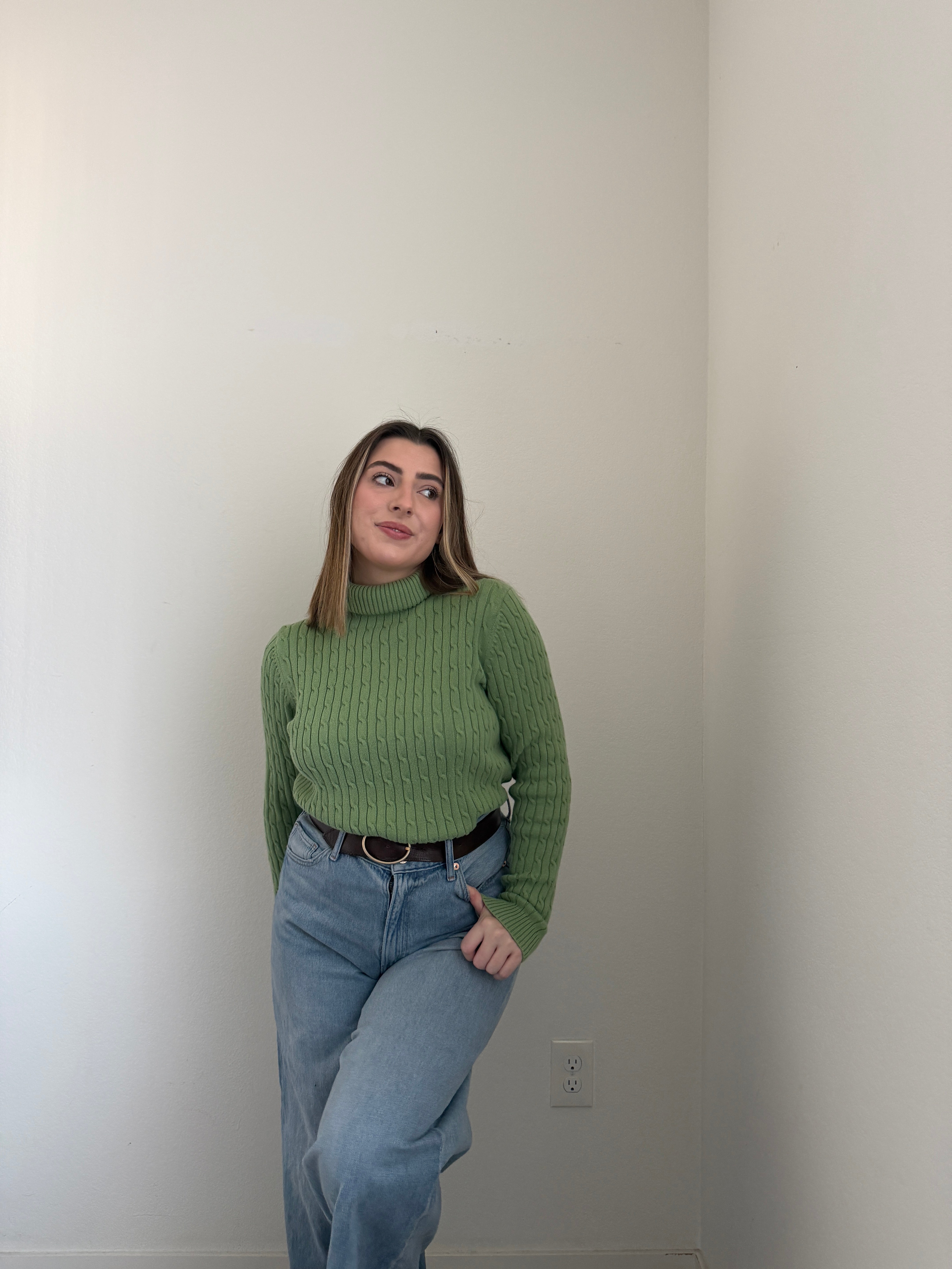 Saguaro Knit Turtleneck (M)