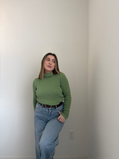 Saguaro Knit Turtleneck (M)