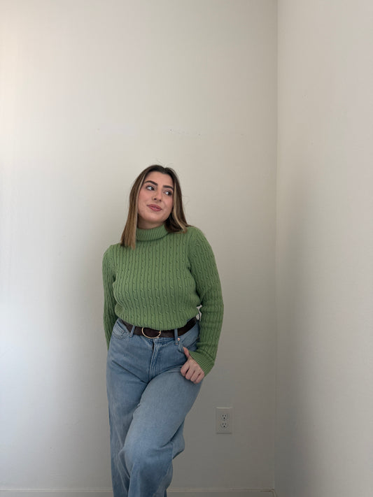 Saguaro Knit Turtleneck (M)