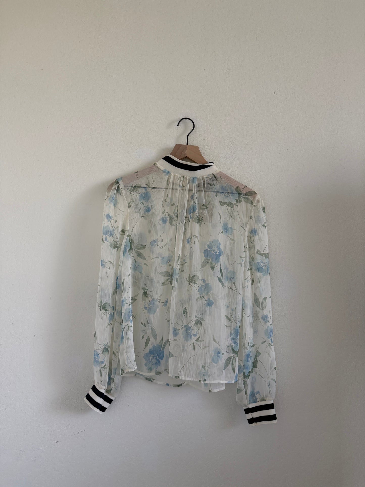 Sheer Long Sleeve Blouse (S)