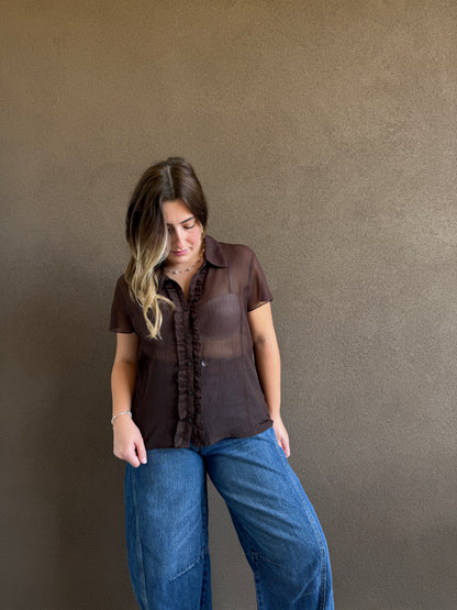 Vintage Brown Sheer Top (14)