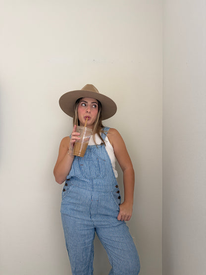 Faherty Striped Linen Overalls (S)