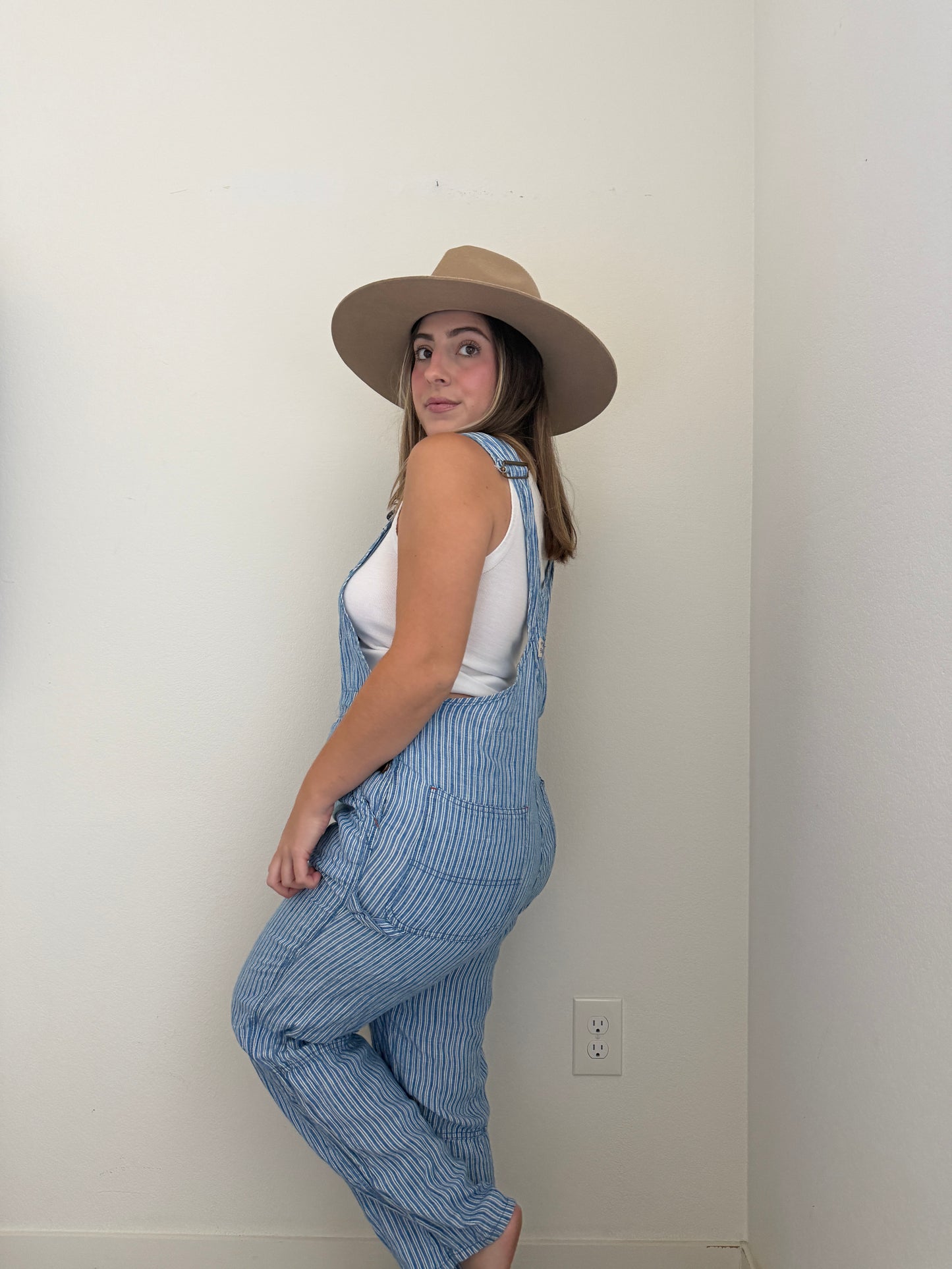 Faherty Striped Linen Overalls (S)