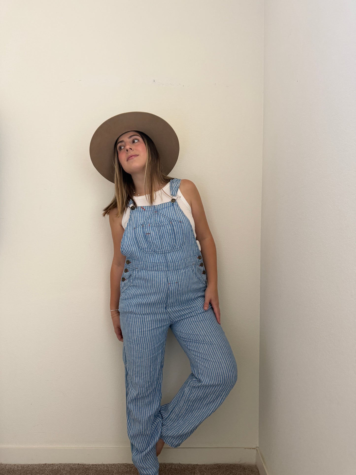 Faherty Striped Linen Overalls (S)