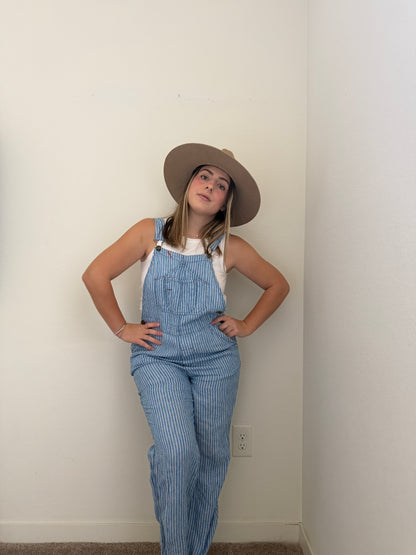 Faherty Striped Linen Overalls (S)